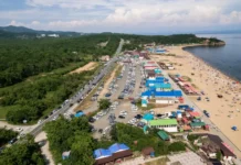 Шаморовская трасса во Владивостоке получит современную канализацию shamorovskaya trassa vo vladivostoke poluchit sovremennuyu kanalizacziyu-journalrf-ru-0