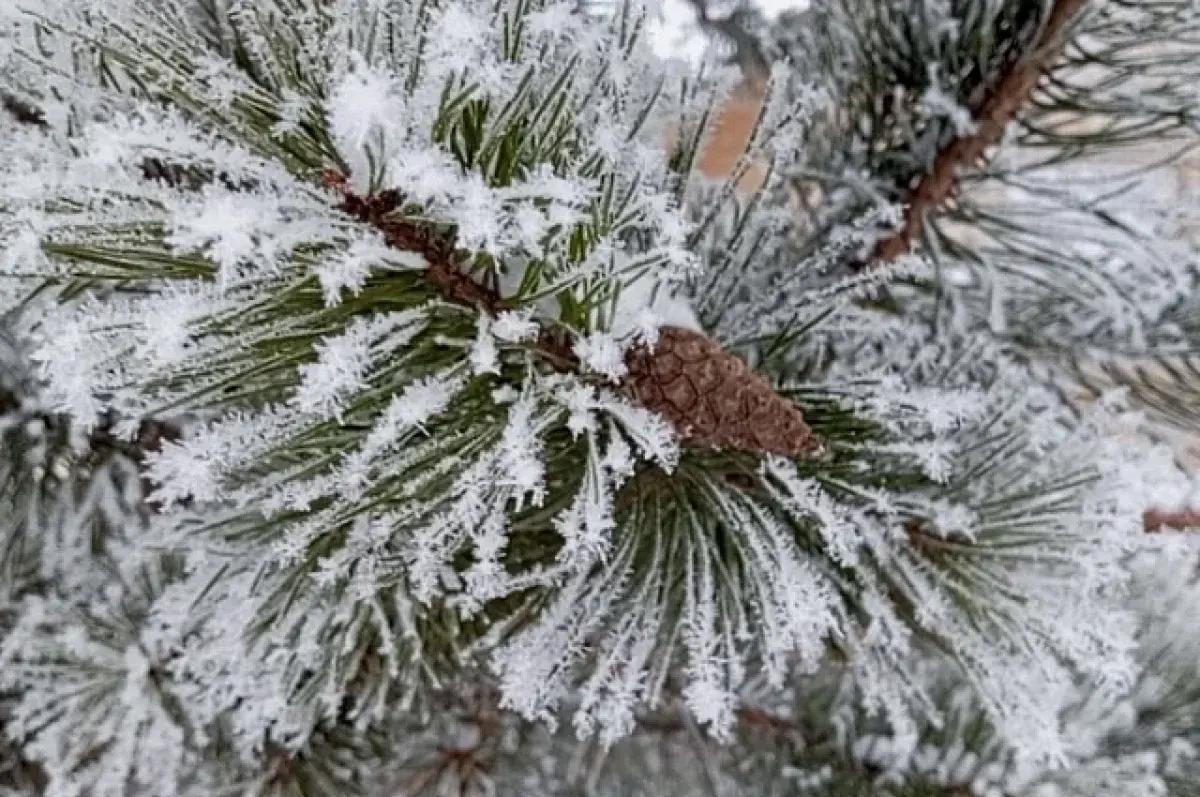 Синоптики предупреждают о морозах в Екатеринбурге и Свердловской области-0