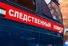 СК России расследует гибель докера в порту Зарубино, меры усилят sk rossii rassleduet gibel dokera v portu zarubino mery usilyat-journalrf-ru-0