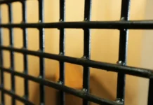 Суд в Приморье пресек сбыт наркотиков, изъято более 770 граммов sud v primore presek sbyt narkotikov izyato bolee 770 grammov-journalrf-ru-0