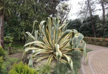 Судебные приставы Свердловской области закрыли выезд должникам sudebnye pristavy sverdlovskoj oblasti zakryli vyezd dolzhnikam-journalrf-ru-0