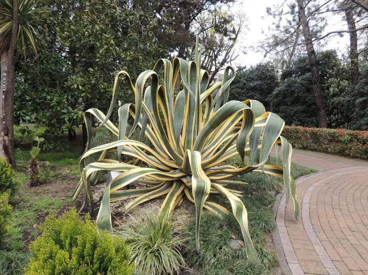 260 тысячам свердловчан ограничили выезд за пределы страны