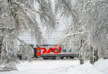 Свердловская железная дорога запускает праздничные поезда sverdlovskaya zheleznaya doroga zapuskaet prazdnichnye poezda-journalrf-ru-0