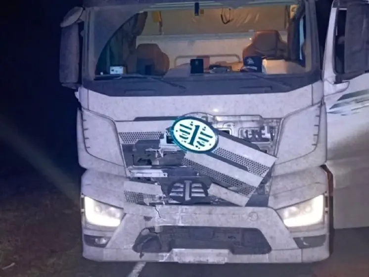 Пенсионер погиб под колесами грузовика на трассе Шадринск – Ялуторовск