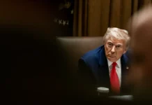 Трамп и Си Цзиньпин ведут тайную дипломатию по вопросам Украины tramp i si czzinpin vedut tajnuyu diplomatiyu po voprosam ukrainy-journalrf-ru-0