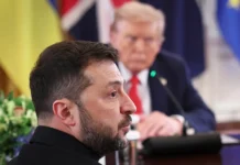 Трамп и Зеленский ведут переговоры с Путиным на фоне ожиданий Европы tramp i zelenskij vedut peregovory s putinym na fone ozhidanij evropy-journalrf-ru-0