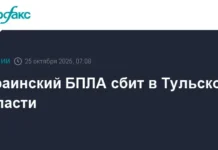 Тревожная ночь и последствия после пресечения БПЛА над Тульской областью trevozhnaya noch i posledstviya posle presecheniya bpla nad tulskoj oblastyu-journalrf-ru-0