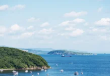 Учёные ДВО РАН нашли Coolia malayensis в заливе Петра Великого uchyonye dvo ran nashli v zalive petra velikogo-journalrf-ru-0