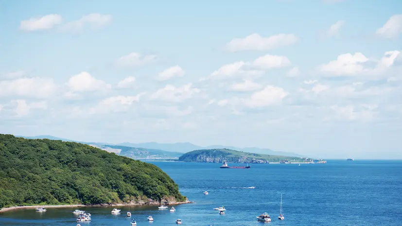 Учёные обнаружили тропическую микроводоросль в заливе Петра Великого
