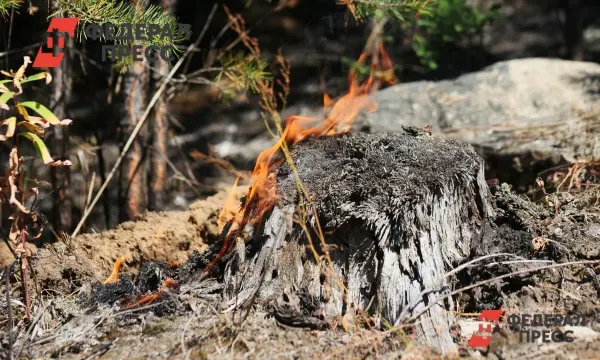 Уральский федеральный округ восстанавливается после пожаров-0