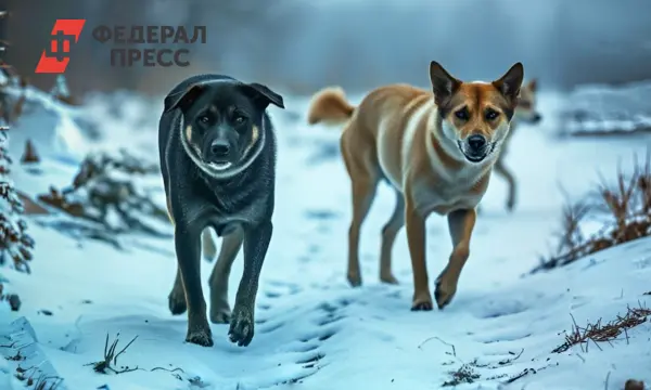 В 2025 году в Самарской области ожидается уменьшение укусов собак-0