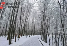 В Екатеринбурге сквер Бориса Рыжего преобразят к 2026 году с поддержкой Орлова v ekaterinburge skver borisa ryzhego preobrazyat k 2026 godu s podderzhkoj orlova-journalrf-ru-0