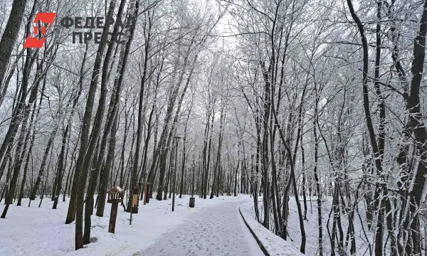 В Екатеринбурге сквер Бориса Рыжего преобразят к 2026 году с поддержкой Орлова-0