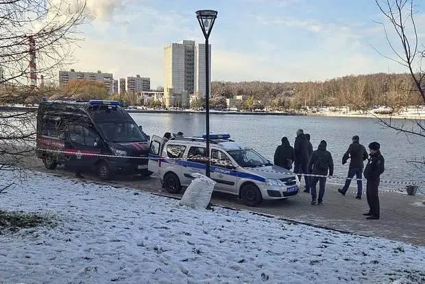 Вводная картинка