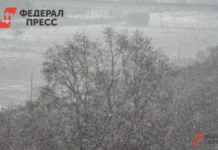 В Новосибирск внесены временные изменения в расписание авиарейсов v novosibirsk vneseny vremennye izmeneniya v raspisanie aviarejsov-journalrf-ru-0