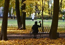 В Санкт-Петербурге восстановлена мобильная связь после сбоя v sanktpeterburge vosstanovlena mobilnaya svyaz posle sboya-journalrf-ru-0