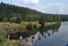 В Свердловской области 30 ноября откроются 200 площадок для диктанта v sverdlovskoj oblasti 30 noyabrya otkroyutsya 200 ploshhadok dlya diktanta-journalrf-ru-0