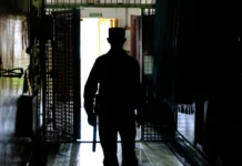 В Уссурийске задержан второй подозреваемый в поджоге цирка, УМВД России по Приморскому краю озвучило свою позицию v ussurijske zaderzhan vtoroj podozrevaemyj v podzhoge czirka umvd rossii po primorskomu krayu ozvuchilo svoyu pozicziyu-journalrf-ru-0