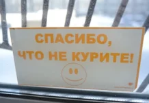 Вадим Шумков поддержал запрет вейпов в Курганской области vadim shumkov podderzhal zapret vejpov v kurganskoj oblasti-journalrf-ru-0