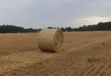 Вадим Шумков предлагает решения для аграриев региона vadim shumkov predlagaet resheniya dlya agrariev regiona-journalrf-ru-0