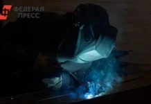 Владимир Путин и Павел Малков отмечают успехи Рязанской области на рынке труда vladimir putin i pavel malkov otmechayut uspehi ryazanskoj oblasti na rynke truda-journalrf-ru-0