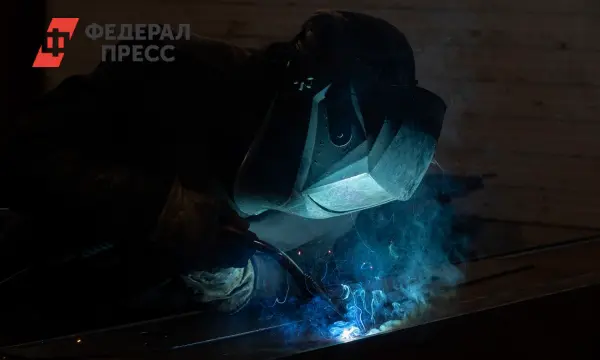 Владимир Путин и Павел Малков отмечают успехи Рязанской области на рынке труда-0