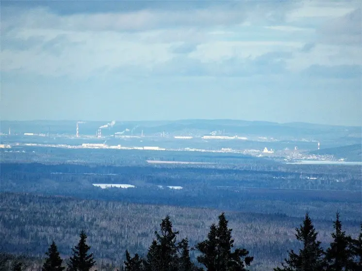 Три жителя Свердловской области удостоились высоких государственных наград