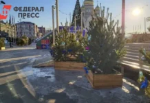 Владивосток готовит каток и резиденцию Деда Мороза к открытию vladivostok gotovit katok i rezidencziyu deda moroza k otkrytiyu-journalrf-ru-0