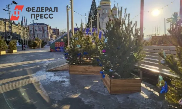 Владивосток готовит каток и резиденцию Деда Мороза к открытию-0