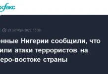 Вооруженные силы Нигерии отбили атаки террористов на северо-востоке vooruzhennye sily nigerii otbili ataki terroristov na severovostoke-journalrf-ru-0