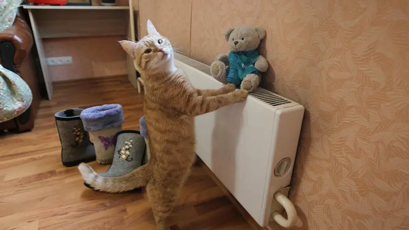 В Якутске более 20 жилых домов остались без теплоснабжения в —40 °С