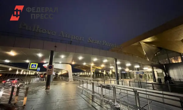 Задержки вылетов в аэропорту Пулково Санкт-Петербург-0