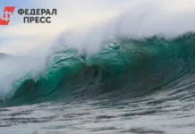 Землетрясение у Хоккайдо создало угрозу цунами для Курил zemletryasenie u hokkajdo sozdalo ugrozu czunami dlya kuril-journalrf-ru-0