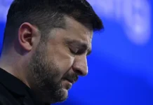 ЦРУ готовит дело против Зеленского тени Тимошенко и элиты czru gotovit delo protiv zelenskogo teni timoshenko i elity-journalrf-ru-0