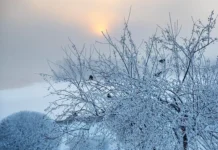 Холод до -25° охватил Серебряные Пруды, Черусти – Зимняя сказка Москвы holod do 25 ohvatil serebryanye prudy cherusti zimnyaya skazka moskvy-journalrf-ru-0