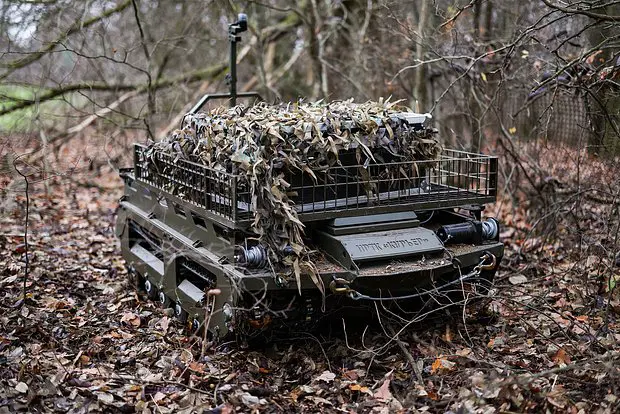 Вводная картинка