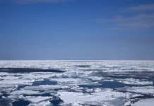 МЧС России ведет поиск участницы айс-флоатинга на реке Тулома! mchs rossii vedet poisk uchastniczy ajsfloatinga na reke tuloma-journalrf-ru-0