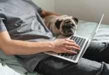 Москва и Петербург: востребованные специалисты на удаленке moskva i peterburg vostrebovannye speczialisty na udalenke-journalrf-ru-0