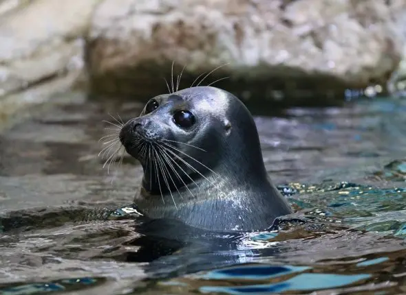 Фото: primamedia.ru