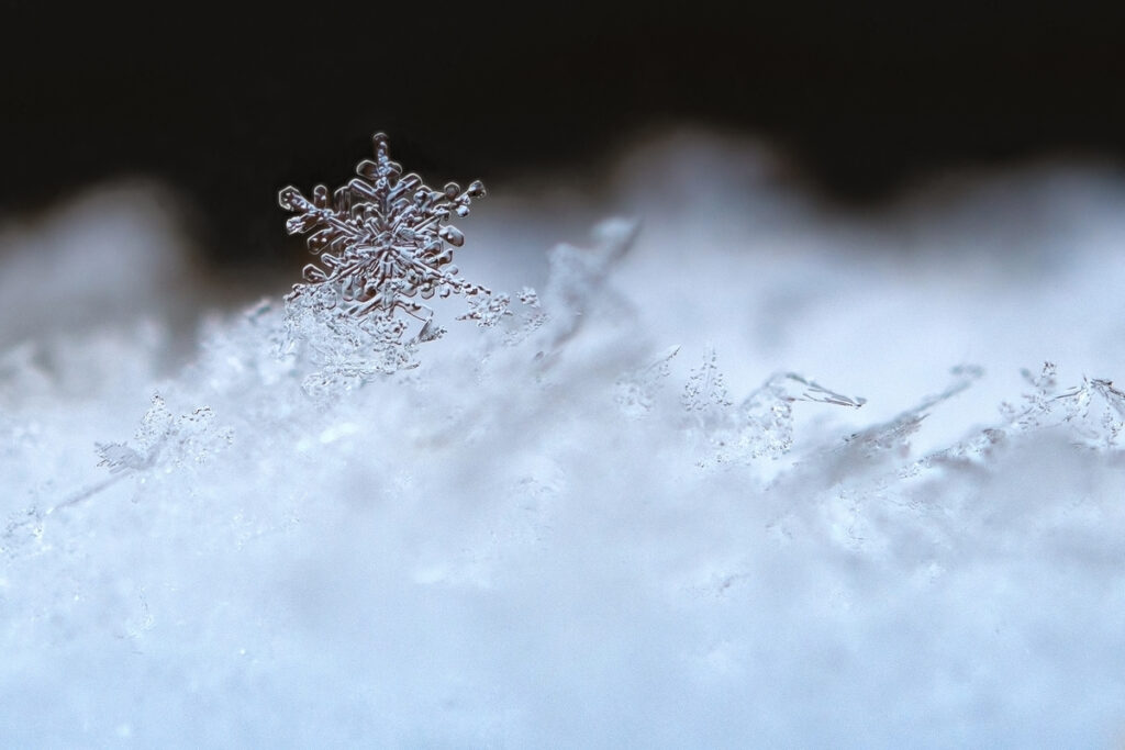 Натуральные снежинки