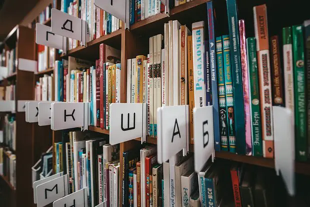 Вводная картинка