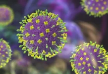 Оценка ДНКОМ вируса Нипах: эксперт опроверг опасения об угрозе oczenka dnkom virusa nipah ekspert oproverg opaseniya ob ugroze-journalrf-ru-0