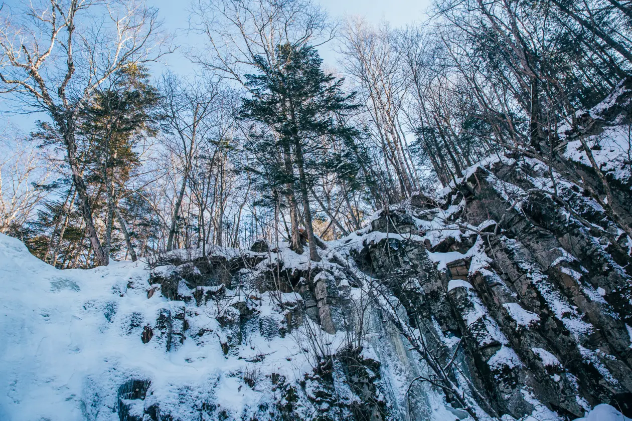 Тематическая фотография Мария Смитюк, ИА PrimaMedia