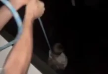 Права и опека – Андрей Некрасов и Надежда Резенова об ответственности prava i opeka andrej nekrasov i nadezhda rezenova ob otvetstvennosti-journalrf-ru-0