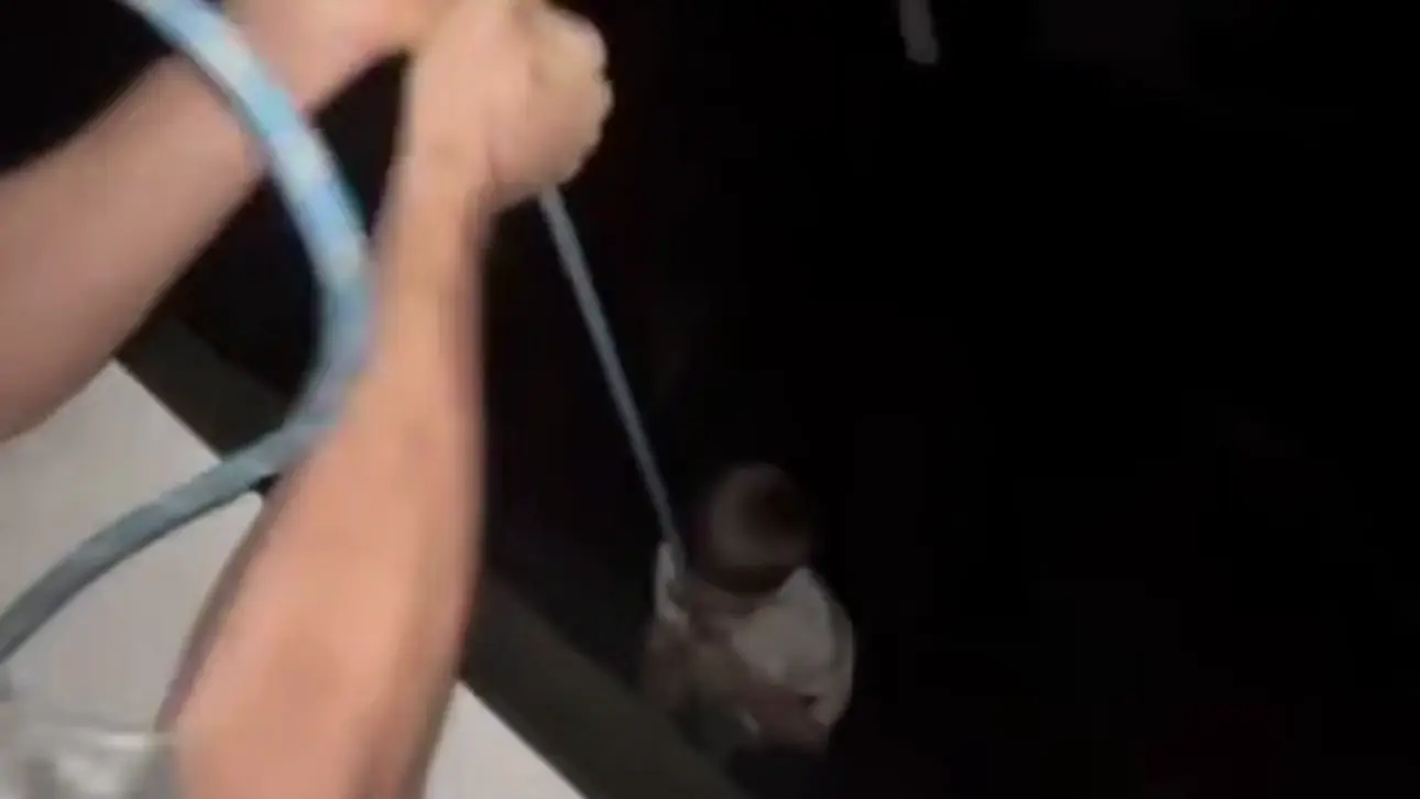 Отец спустил сына с балкона на тросе в Воронеже: что грозит мужчине, мнение юриста и психолога