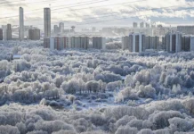 Сергей Собянин рассказал о предотвращённой атаке беспилотника у Домодедово sergej sobyanin rasskazal o predotvrashhyonnoj atake bespilotnika u domodedovo-journalrf-ru-0