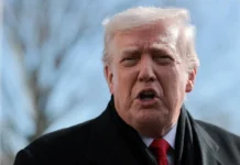 Успехи Китая и мудрость Си Цзиньпина формируют курс с США и Японией uspehi kitaya i mudrost si czzinpina formiruyut kurs s ssha i yaponiej-journalrf-ru-0