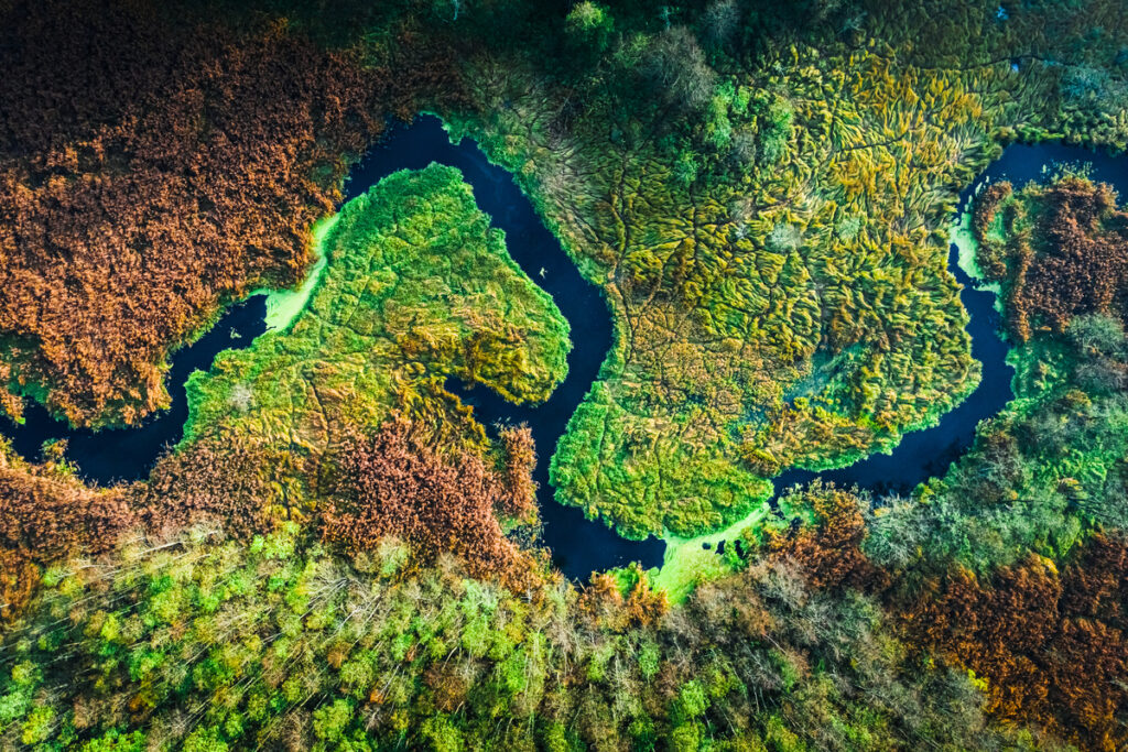Вид с воздуха на реку и болота