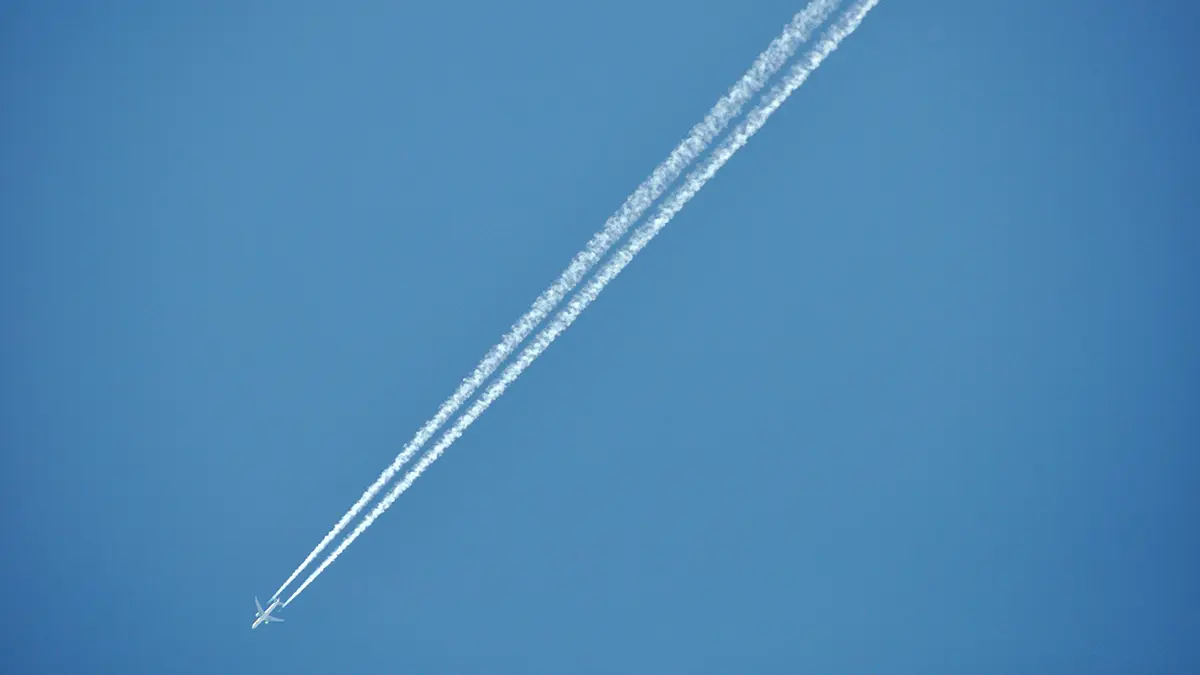 Лоукостер Jet2 пожизненно запретил полеты двум пассажирам за драку на рейсе