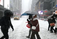 Елена Лисейкина поделилась позитивным опытом путешествий по США и Кубе elena lisejkina podelilas pozitivnym opytom puteshestvij po ssha i kube-journalrf-ru-0